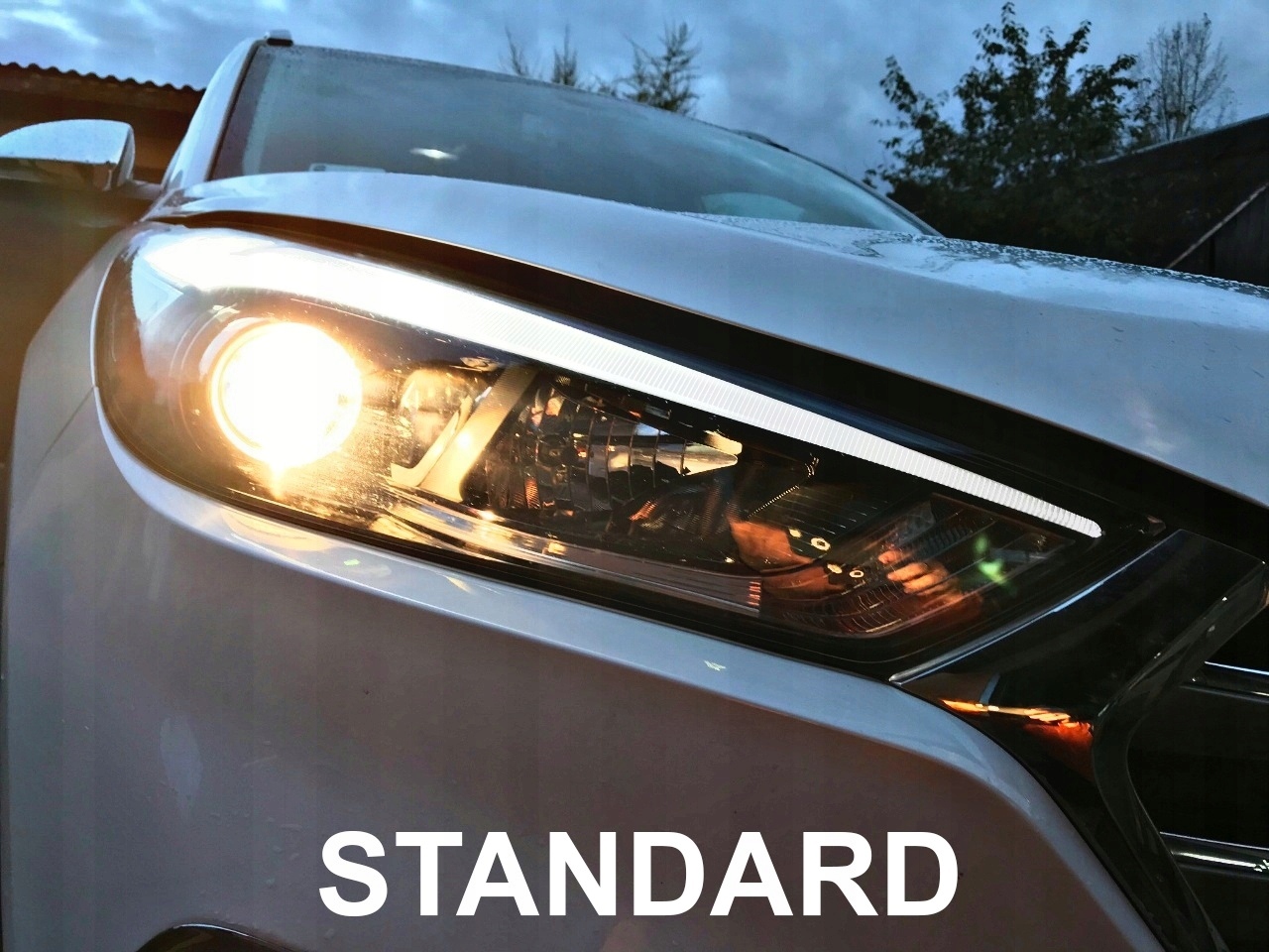 ŻARÓWKI PHILIPS DIAMOND VISION H7 WHITE 12V 55W - obrazek 4